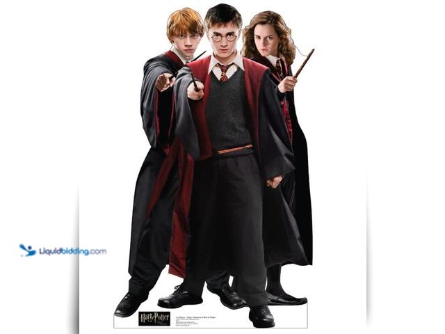 Lot 49-1566571 - Cardboard People Harry, Hermione & Ron in Robes Life Size Cardboard Cutout Standup - Harry Potter an...