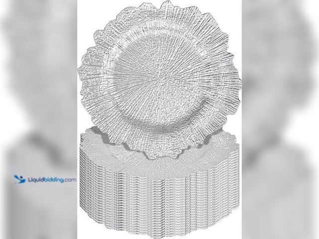 Lot 49-5543384 - 24Pcs Silver Charger Plates Round 13inch, Reef Plate Chargers for Dinner, Bulk Plastic Floral Table ...