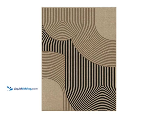 Lot 49-5560127 - HaiiMeid
Geometric Fusion Linen-look Brown/Black5 ft. x 7 ft. Geometric Area Rug. Model # X25IU0036...