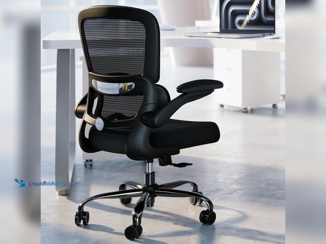 Lot 49-5460716 - TRALT Office Chair - Ergonomic Desk Chair with Adjustable Lumbar Support, Mesh Computer Chair, Execu...