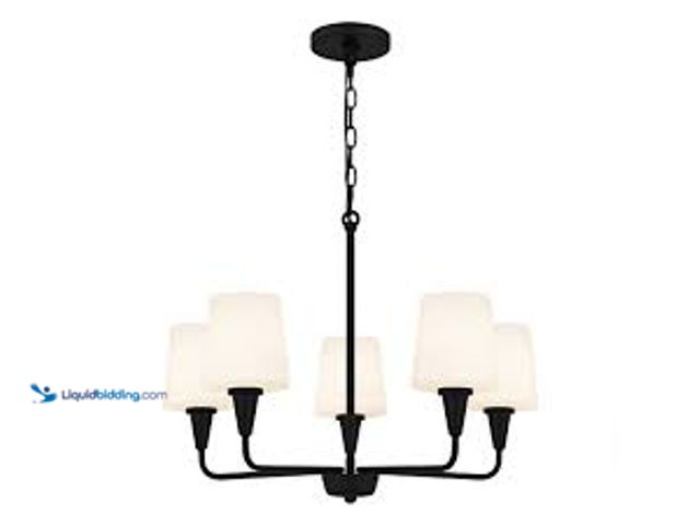 Lot 49-5461371 - DSI LIGHTING Juniper 5-Light Matte Black Chandelier with White Opal Etched Glass Shades. Model # DSH...