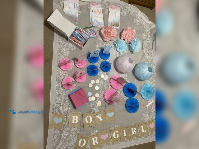 Lot 49-1972689 - Gender Reveal Decorations  LOT
