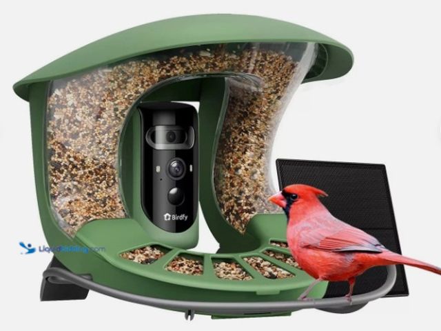 Lot 49-5581931 - BIRDFY - 2 Smart Bird Feeder with Camera, Dual-Angle Views,AI Identifies 6000+ Birds,Solar-Powered, ...