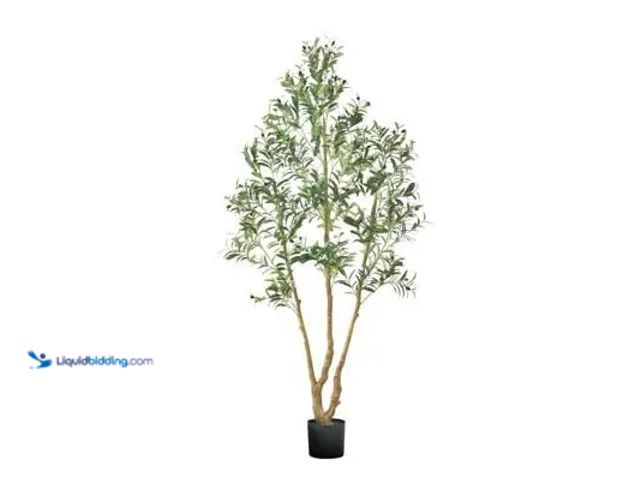 Lot 49-3600166 - 7ft Artificial Olive Tree With Black Planter, Unused  Ref#BUYLOW0129