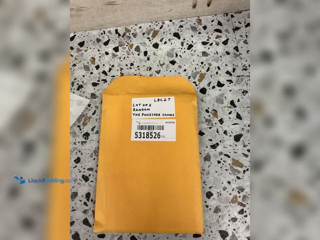 Lot 49-5489291 - Lot of 6 Random Marvel The Punisher Comics. Unused.