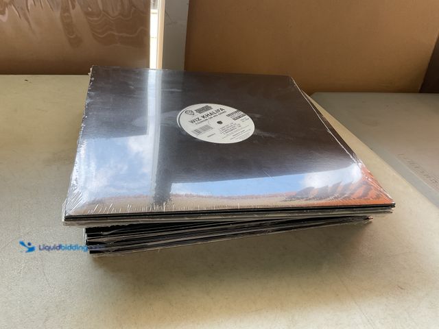 Lot 49-5515557 - Other LOT OF 20 FACTORY SEALED VINYL RECORDS VARIOUS GENRES AND TITLES INCLUDING WIZ KHALIFA, MIKE J...