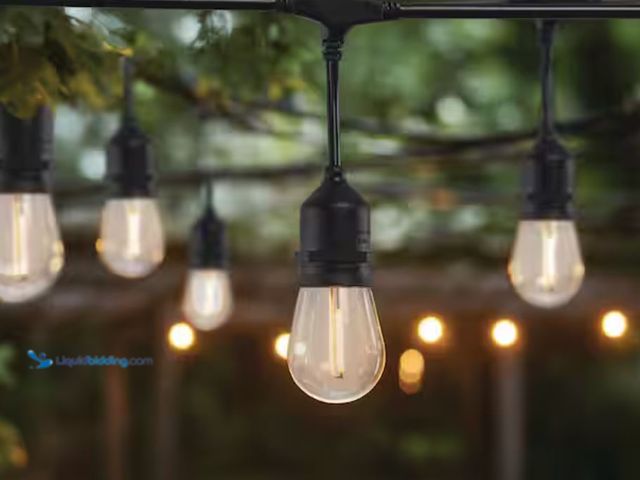 Lot 49-1623777 - Monteaux Lighting 24-Light 48 ft. Plug-in Indoor/Outdoor Edison Plug-in Integrated LED Filament Bulb...
