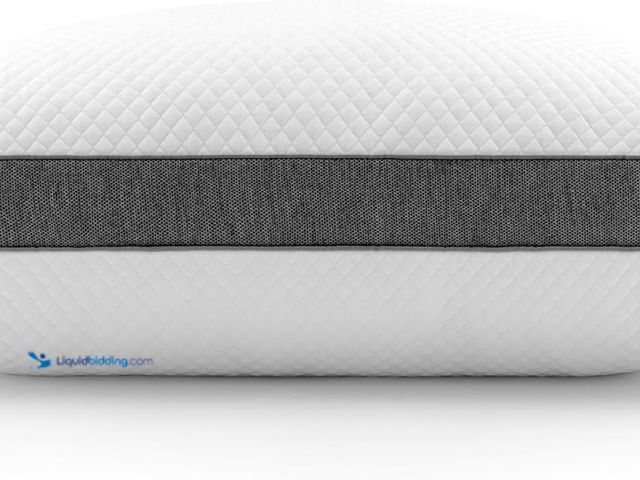 Lot 49-5406309 - Beauty rest Absolute Relaxation Pillow, Standard, White, Unused.