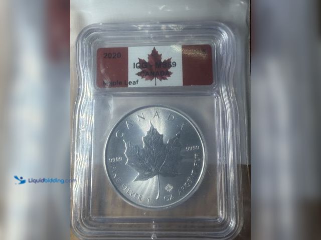 Lot 49-1975123 - 1 2020 1 Oz silver
