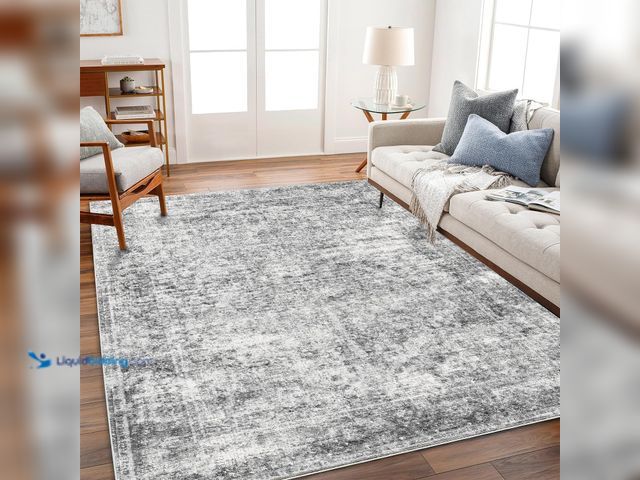 Lot 49-5406656 - Area Rug 8x10 Washable Rug Gray Vintage Traditional Mat Distressed Indoor Foldable Thin Retro Accent...