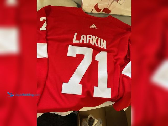 Lot 49-1505565 - COLLECTIBLE NICE ADIDAS SIZE 54 DETROIT RED WINGS LARKIN STITCHED JERSEY PRE-OWNED GREAT CONDITION #...