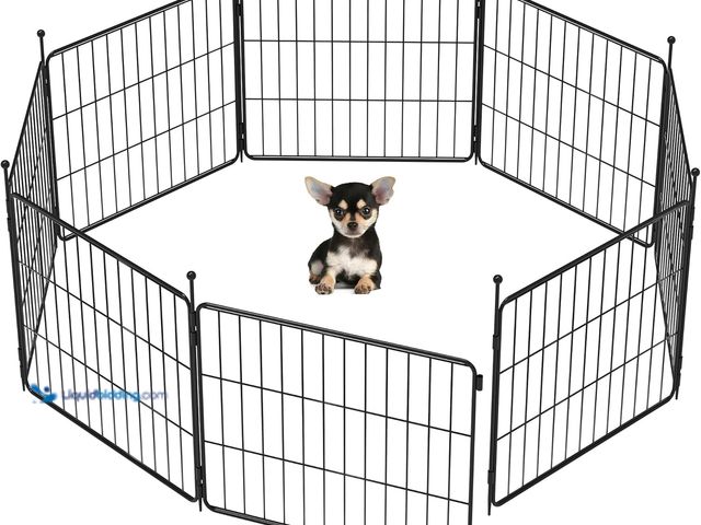 Lot 49-5410781 - FXW MiniPaws Dog Playpen for Yard & RV Camping, Expandable 20-inch 8 Panels for Puppies and Small Do...