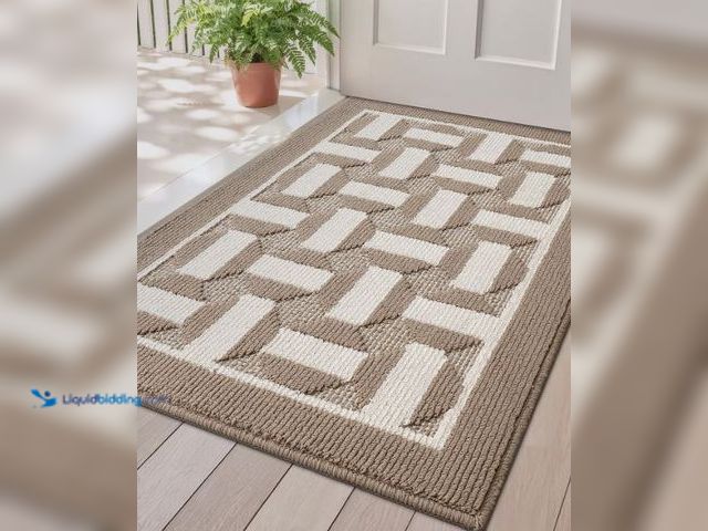Lot 49-5436314 - LUMI Washable Indoor Entrance Doormat 32x48, Absorbent Quick-Dry Dirt Trapper Mats for Dogs, Rubber ...