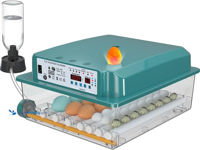 Lot 49-5410965 - Incubators for Hatching 36 Eggs with Automatic Egg Turning and Humidity Monitoring - 4 Automatic Inc...