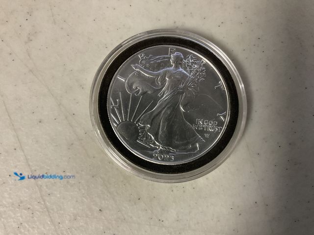 Lot 49-1810307 - 1 OZ FINE SILVER EAGLE COIN #COINS1113