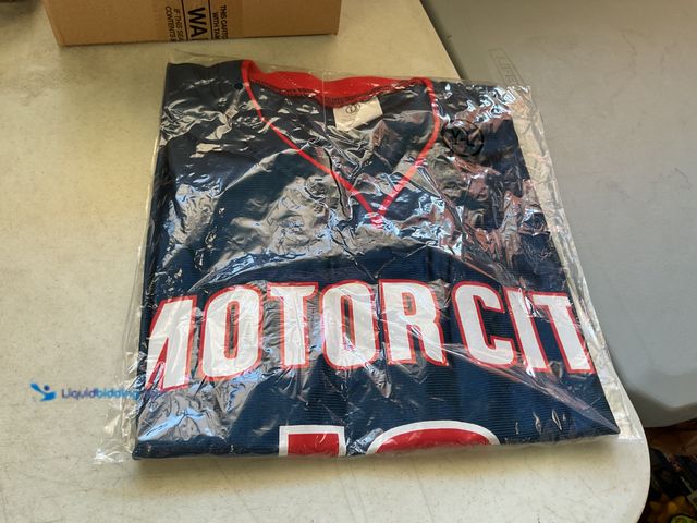 Lot 49-5515058 - Other NEW MOTOR CITY GREG MONROE #10 DETROIT PISTONS JERSEY SIZE YOUTH LARGE NEW