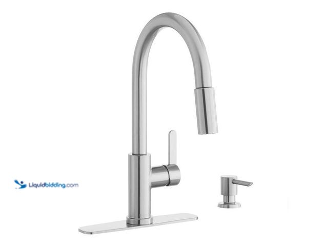 Lot 49-5543996 - Glacier Bay Paulina Single-Handle Pull-Down Sprayer Kitchen Faucet with TurboSpray, FastMount, Soap ...