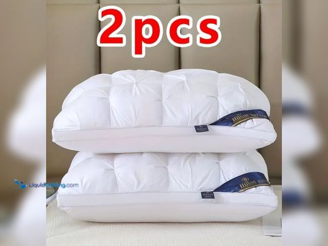 Lot 49-1800251 - 2 Queen Twist Pillows.