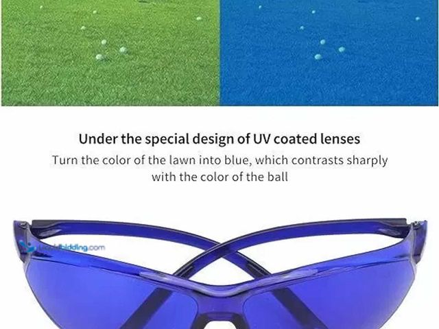 Lot 49-5388264 - Enhanced Visibility Blue Glasses for Golfing, Morel Mushroom/Antler Shed Hunting with Hard Shell Cas...