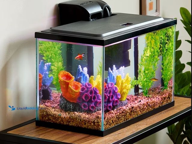 Lot 49-2022721 - Vibrant Life 5 Gallon Aquarium Starter Kit with Blue & White LED Lights, Model # 15293521397, MSRP $...