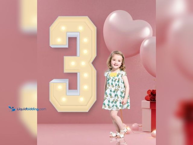 Lot 49-3431511 - 4FT Plastic Marquee Numbers 3 - Light up Numbers Are Made from Corrugated Plastic Board - Quick Asse...