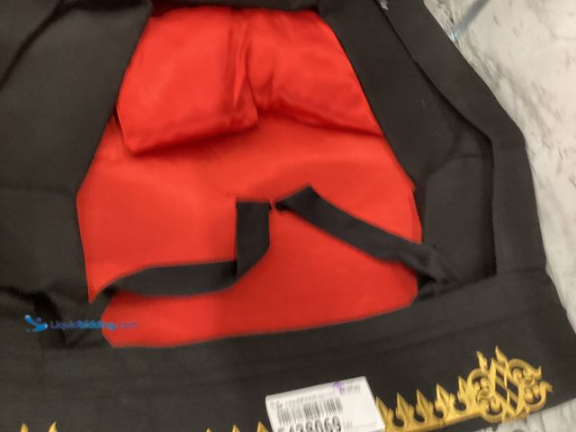 Lot 49-5438069 - One-Size-Fits-Most Vampire Casket Costume. Unused