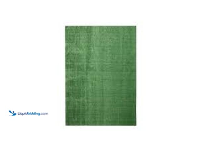 Lot 49-5438124 - TrafficMaster Emerald Green Precut Turf 6 ft. x 8 ft. Artificial Grass Rug. Model # LHDTRFPEMEGRE68....
