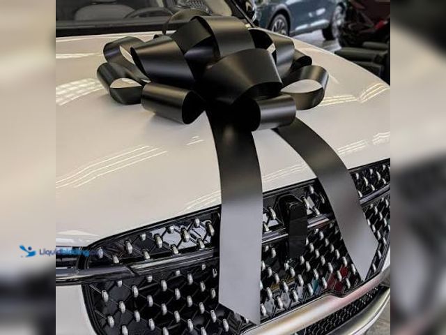 Lot 49-5551504 - Large Car Bow (Black) Unused