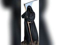 Lot 49-3522136 - undefined