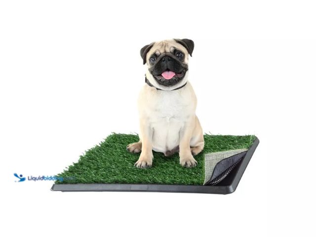 Lot 49-1556597 - Artificial Grass Puppy Pee Pad for Dogs and Small Pets - 16x20 Reusable 4-Layer Training Potty Pad w...