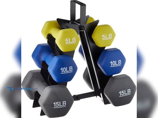 Lot 49-3532421 - Amazon Basics Neoprene Dumbbell Hand Weights for Exercise and Muscle Toning Unused