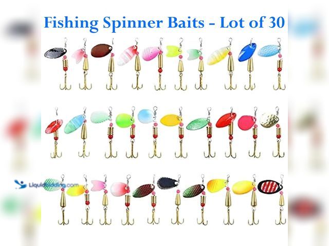 Lot 49-5492873 - Fishing Spinner Bait Lures 30 Piece Set Various Styles/Colors with Clear Plastic Case - NEW - Includ...