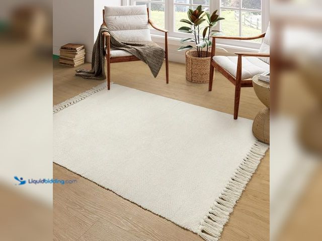 Lot 49-3528860 - Collive 4x6 Small Area Rug for Living Room, White/Beige Woven Cotton Bedroom Carpets Modern Comfy In...