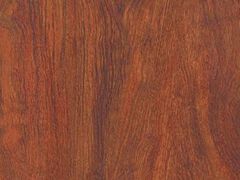 Lot 49-1565866 - undefined