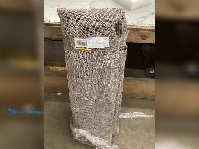 Lot 49-5542704 - Large Area Rug. Used