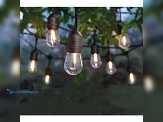 Lot 49-5415446 - Hampton Bay 12-Light 24 ft. Indoor/Outdoor Plug-in S14 Single Integrated LED Edison String-Light. Mo...