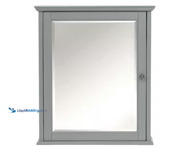 Lot 49-1628041 - Home Decorators Collection Hamilton 23.75 in. W x 27 in. H Rectangular Wood Framed Wall Bathroom Van...