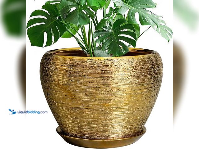 Lot 49-3600308 - Ceramic Planter 10 Inch - Indoor Plant Pot with Drainage Hole and Saucer Large Decorative Planter Mi...