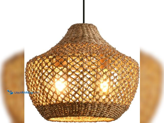 Lot 49-5488253 - 15.4" Rattan Pendant Light Fixtures,Boho Water Plants Pendant Light,2-Light Hand Woven Seagrass Chan...