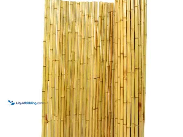 Lot 49-5574107 - Backyard X-Scapes
1 in. D x 6 ft. H x 8 ft. W Natural Bamboo Fence Decorative Rolled Fencing Panel....