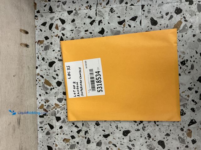 Lot 49-5489299 - Lot of 2 Random DC Superman Comics. Unused.