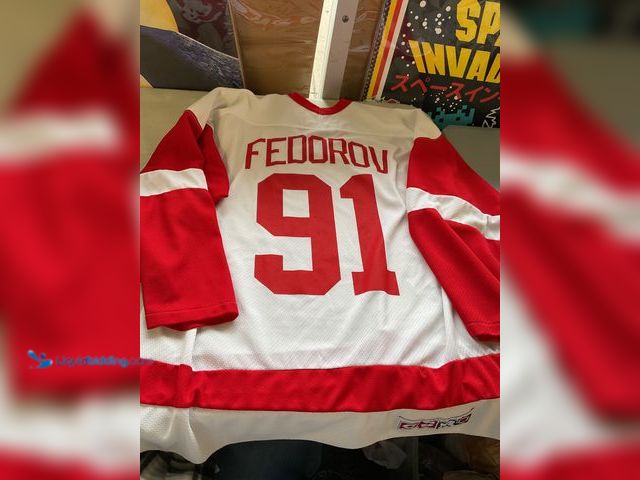 Lot 49-1505776 - NICE CONDITION PRE-OWNED DETROIT RED WINGS FEDOROV HOCKEY JERSEY CCM BRAND SIZE XL #COINS0122