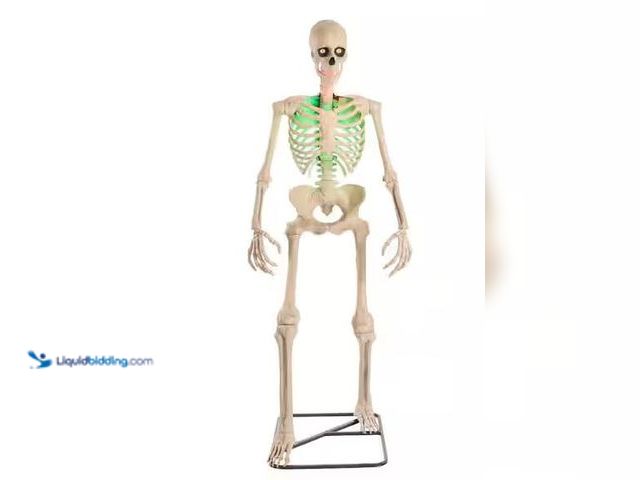 Lot 49-1528020 - Home Accents Holiday 6.5 ft. Grave & Bones Animated LED App Controlled Ultra Skelly with LifeEyes LC...