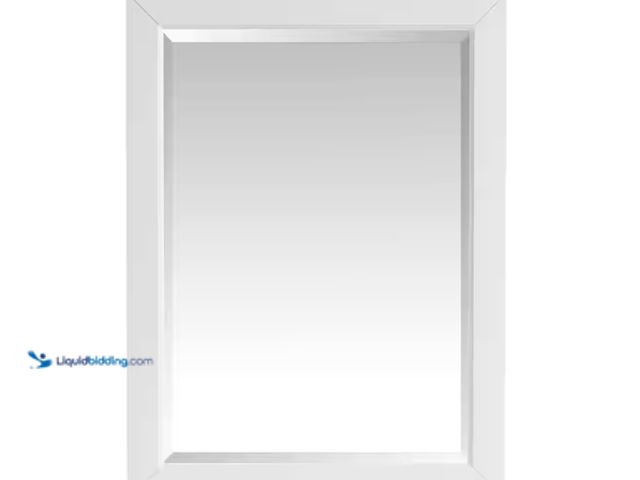 Lot 49-2000001 - Home Decorators Collection Windlowe 24 in. W x 32 in. H Rectangular Wood Framed Wall Bathroom Vanity...