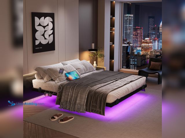 Lot 49-3531710 - Queen Size - Floating Bed Frame Queen with LED Lights and Charging Station, 14 Inch Queen Modern Bed...