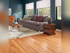 Lot 49-1532271 - undefined