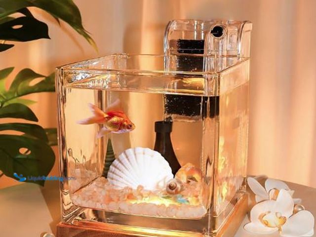 Lot 49-5436368 - SARUFO 0.81Gallon Fish Tank Kit Desk Aquarium Set Small Glass for Kids Beginner Square Betta Fish Bo...