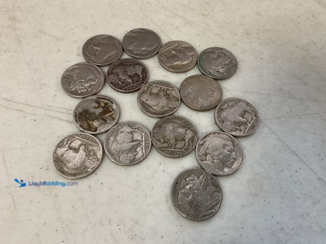 Lot 49-1505712 - LOT OF 15 VINTAGE BUFFALO NICKELS VARIOUS YEARS #COINS0122