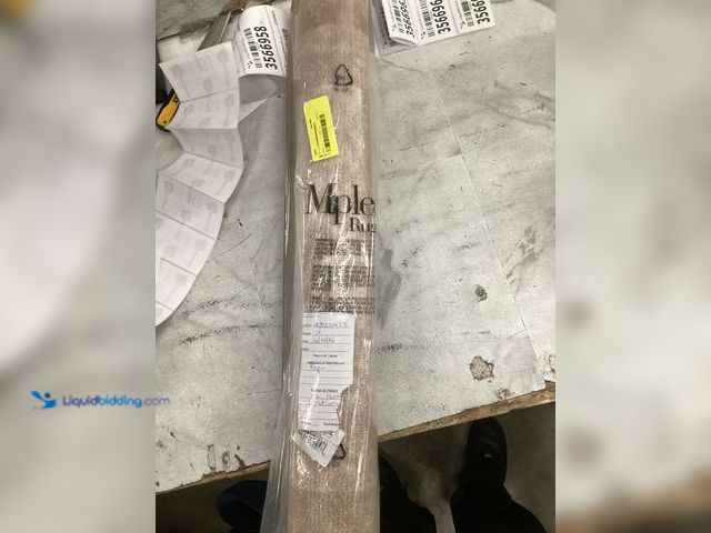 Lot 49-3566929 - Large Area Rug (Tan) 30x46, Unused