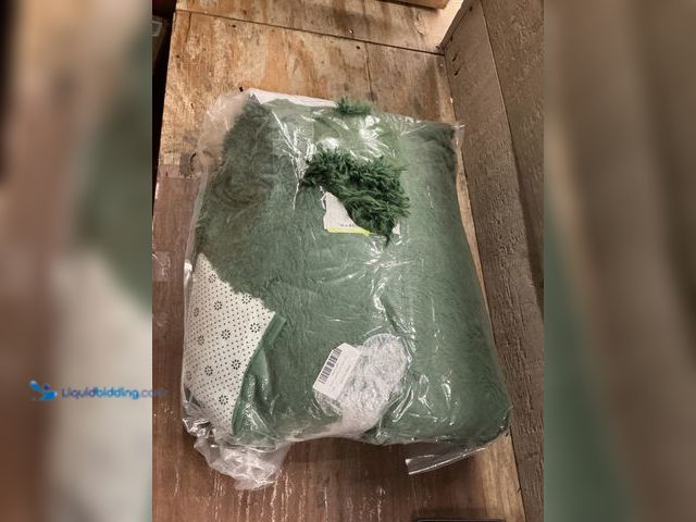 Lot 49-5463264 - Large Green Area Rug Unused